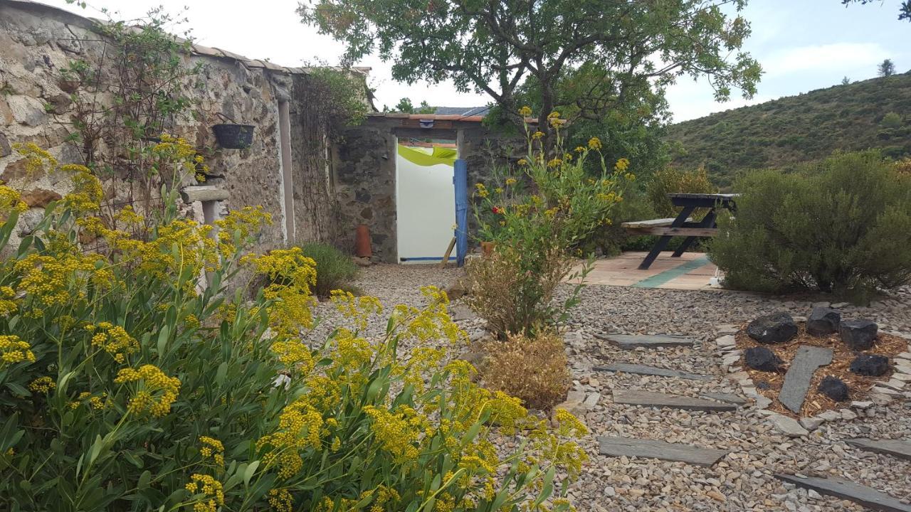 La Loubiere, Ancienne Bergerie En Pleine Garrigue Bed and Breakfast Fraissé-des-Corbières Buitenkant foto